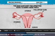 The female reproductive tract explained in Rachel Maddow's man cave
