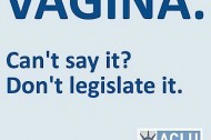 The Vaginagate roundup