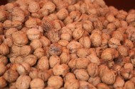 Naked News: Walnuts are good for semen, semen is good for women