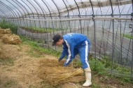 Great green vacations: volunteer on an organic farm