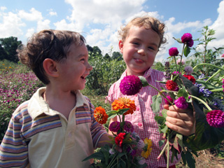 Farm_13.jpg Farm_13.jpg