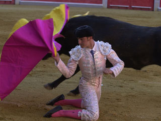 matador_011.jpg matador_011.jpg