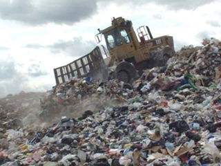 waste_food_11.jpg waste_food_11.jpg