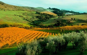 top10_tablet_hotel_feature