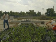 Justin Booz turns a Superfund site into a public food garden.