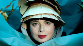 greenporno_limpet_314x174