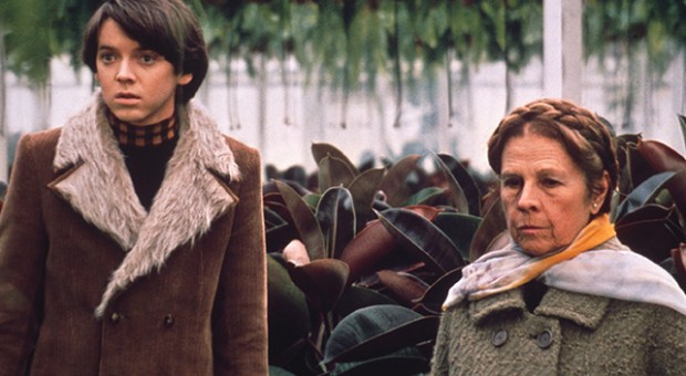 harold_and_maude_01_641x383 Increase Your Hip Factor With These Top 10 Cult Movies