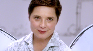 isabella_qiz_314x174