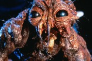 The Horror! 3 David Cronenberg Movies You Must See Before You Die, Die, Die