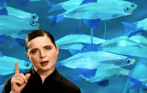 On the second season of GREEN PORNO, Isabella takes on the fascinating mating rituals of sea creatures.  Check out sundancechannel.com to view them all!