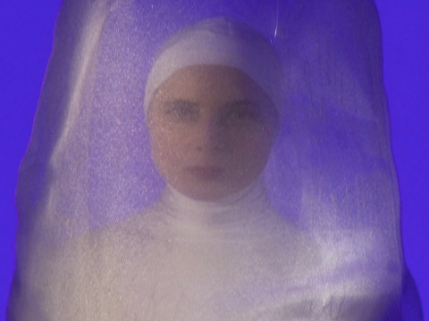 Isabella Rossellini takes an intimate look into the perilous life of a squid.