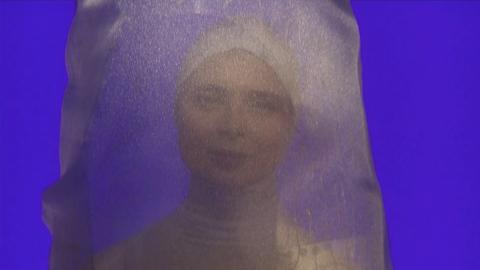Isabella Rossellini takes an intimate look into the perilous life of a squid.