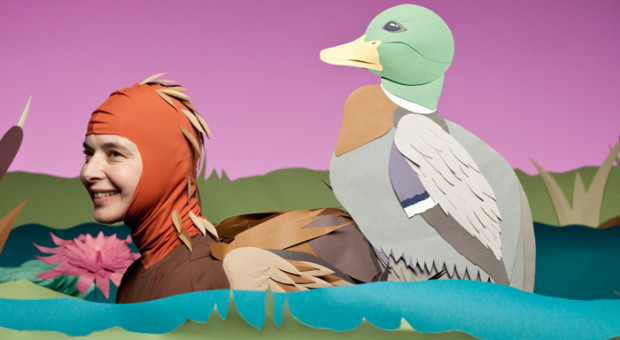 The 5 Most Cocksure Creatures from “GREEN PORNO”