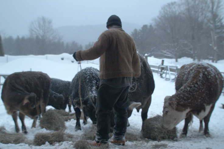 BonAndTheTrees_48horasdeSundance