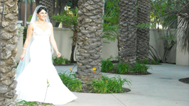 mfw-s3-3-belly-dancing-bride-266x150 mfw-s3-3-belly-dancing-bride-266x150