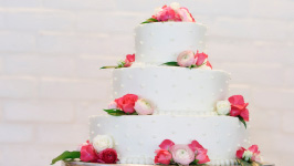 cake_101 cake_101