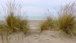 article_vacabudget article_vacabudget