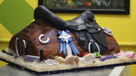 Horsing around cake Horsing around cake