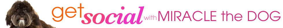 miracle_sp_header2 miracle_sp_header2