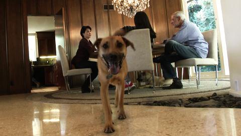 Bonus Scene Episode 207 The Pitch: Family Man