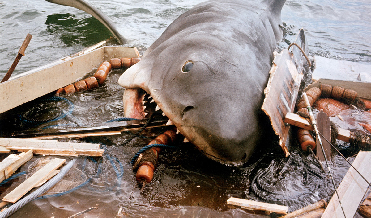 Blogs - Six Things You Didn't Know About Jaws - AMC