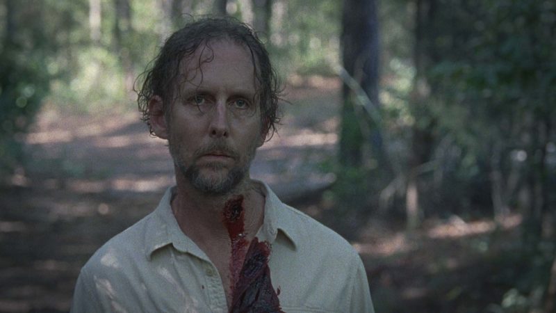 Walking Dead Torrent Episode 13 Walking Dead Torrent Episode 13