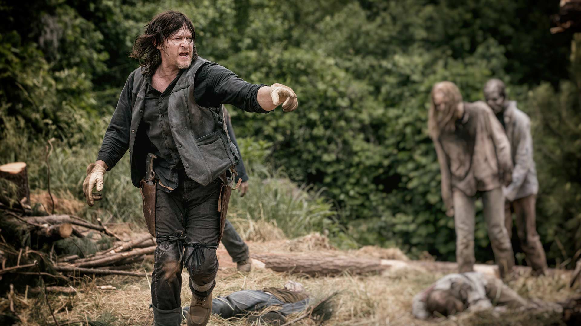 twd staffel 9 twd staffel 9