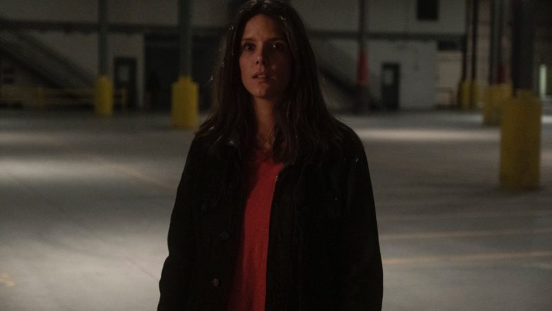 <em>A.V. Club</em> Chats With Sonya Cassidy; <em>Collider</em> Recommends <em>Lodge 49</em>