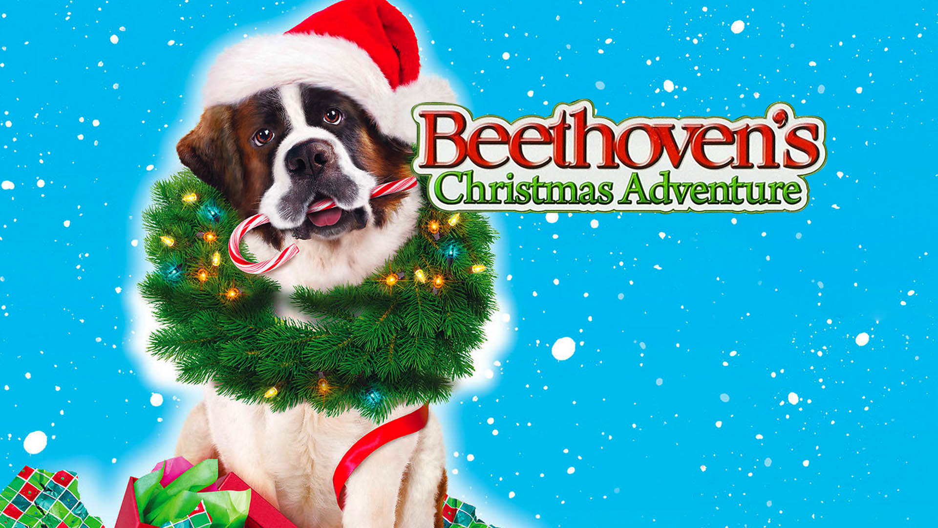 Watch Beethoven's Christmas Adventure Online | Stream On Demand | AMC