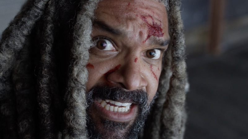 The Walking Dead: Trailer for Extended Season 10