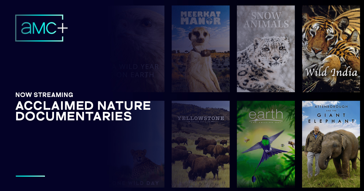 AMC+ Watch Popular Animals & Nature Documentaries