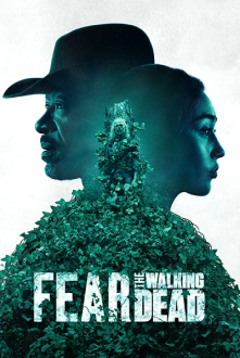 ftwd-2×3