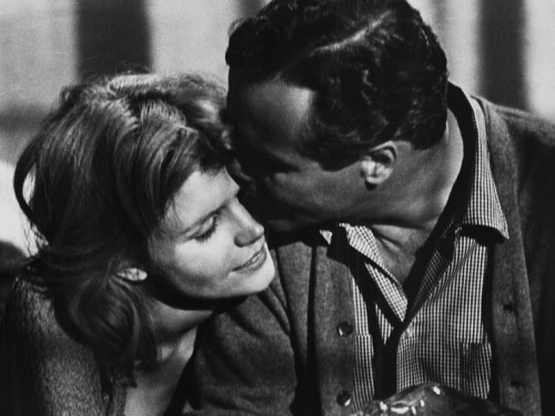 Dias de vinho e rosas