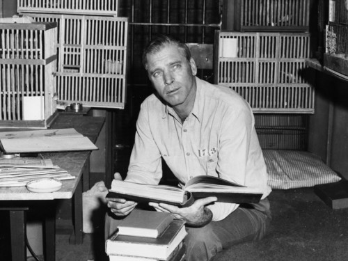 O Prisioneiro de Alcatraz