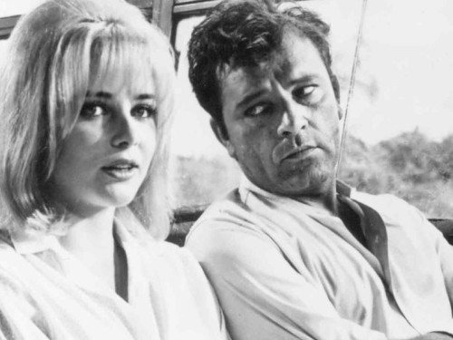 The Night of the Iguana