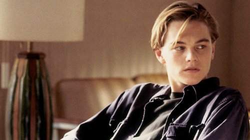 leonardo dicaprio marvins room