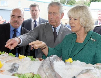 Royal visit to Ulster
