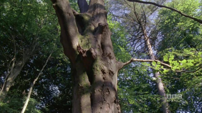 16764841001_1644486493001_PlanetEarth-Families-Clip1-WebTeam-H264-Widescreen-1920x1080_1920x1080_537741379950