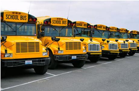 School Bus