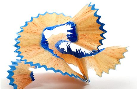 Pencil Shaving