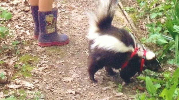 Harriet and Humbug take a stroll in the garden. (ITV)