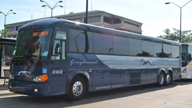 460x300_greyhound
