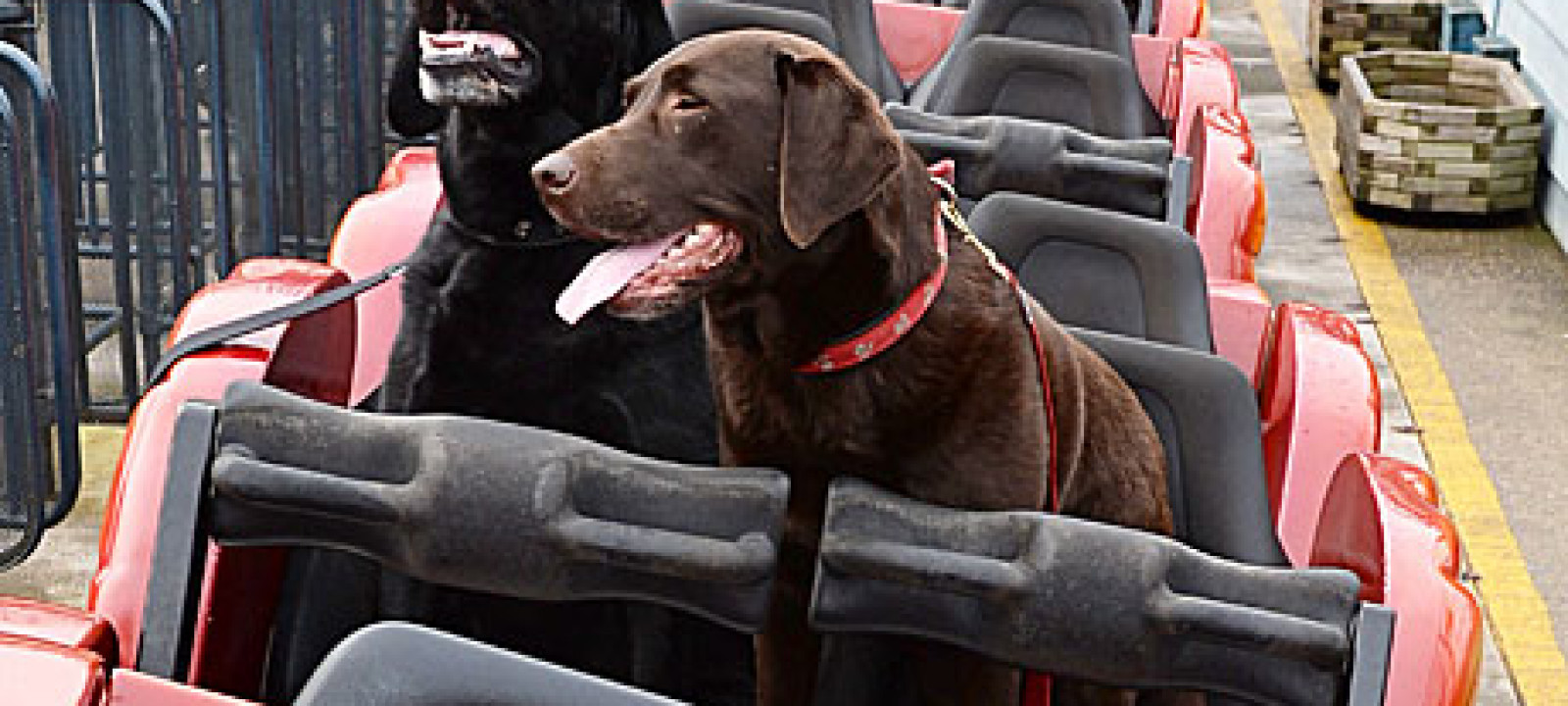 Reinforce Your Credulity Glands For An April Fool’s Day Roundup