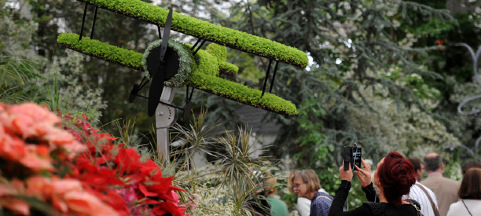 Snapshot: 10 Heartening Photos from the WWI-Themed Chelsea Flower Show ...