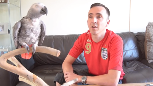 Singing Parrot