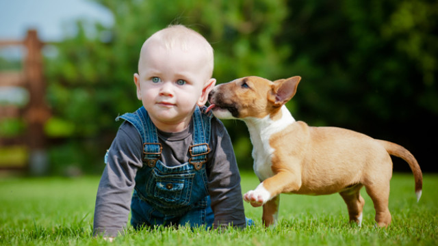 612x344_kidspets