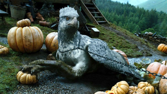 Buckbeak the Hippogriff