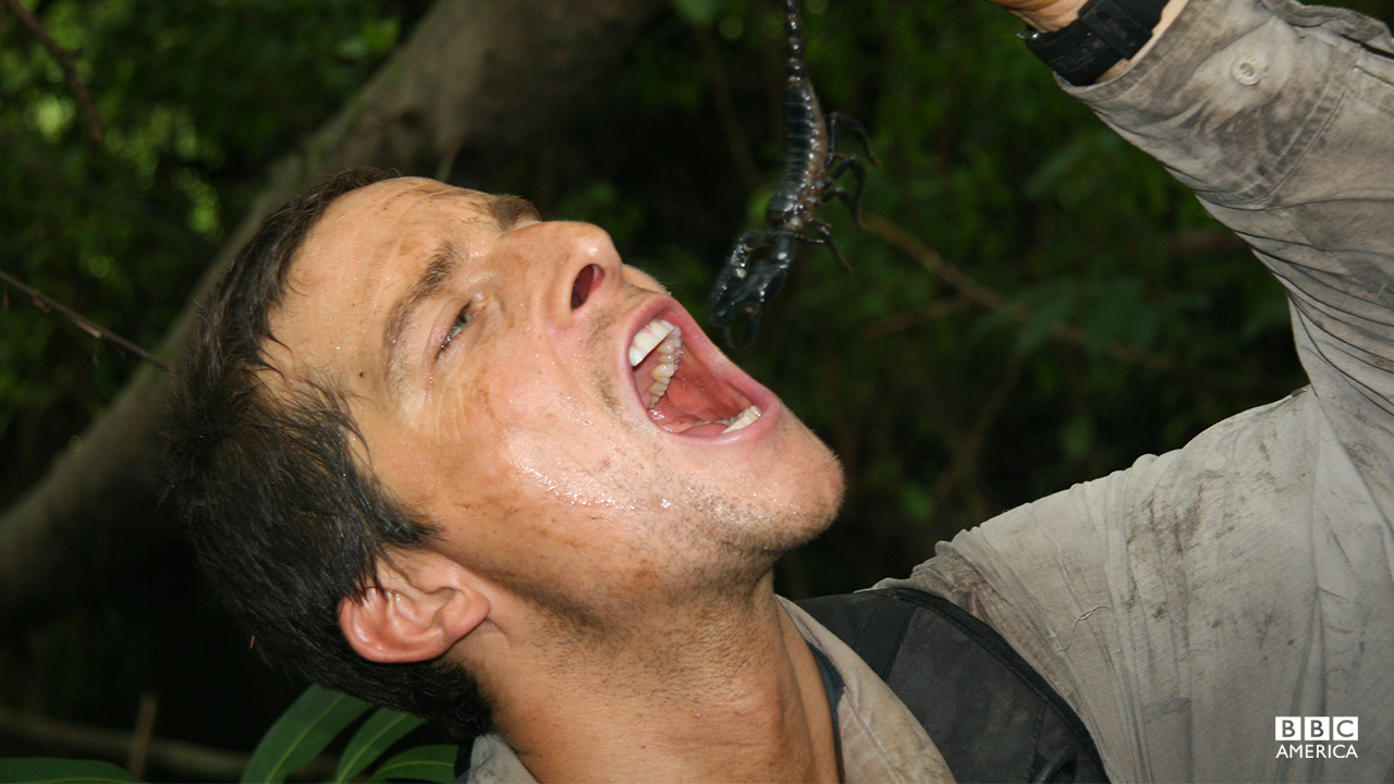 Man Vs Wild Season 4 BBC America