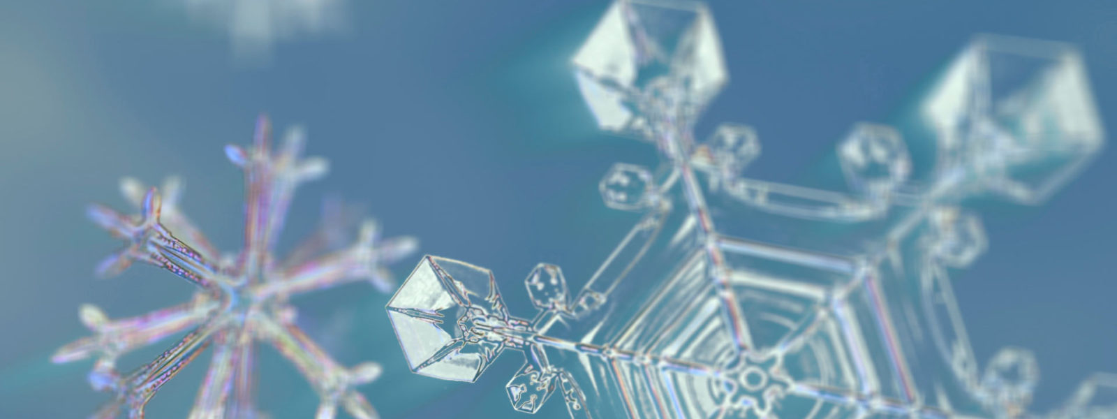 FP_105_1920x1080