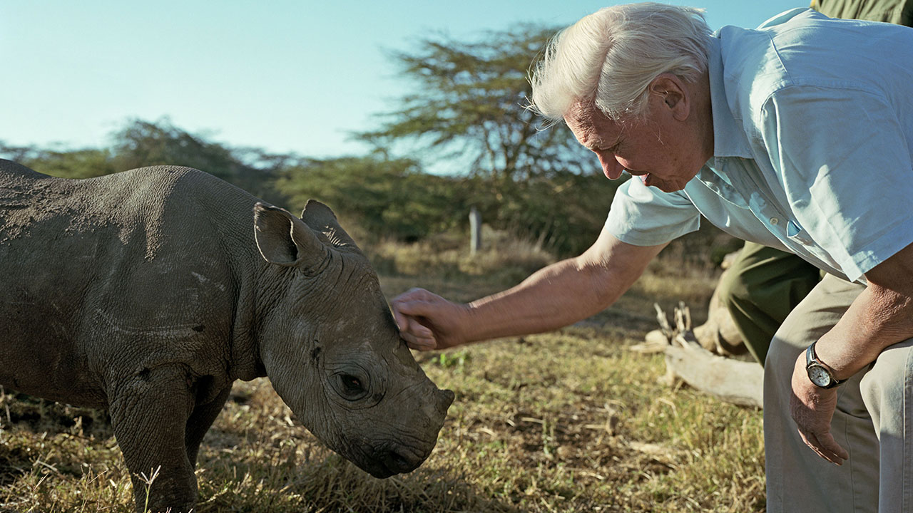 Sir David Attenborough Through The Years | BBC America